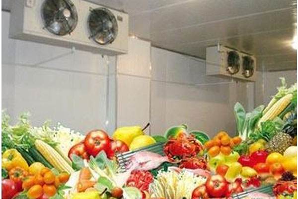 水果蔬菜能在果蔬保鮮冷庫中保鮮多久